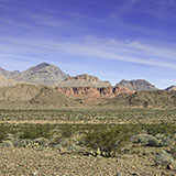 Bitter Springs Las Vegas Desert Great Basin Nevada