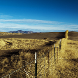 tumbleweed fence winnemucca hills nevada sand morning dawn great basin desert