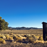 Outhouse and tree in Berlin Ichthyosaur state park Nevada great Basin recycling
