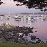 monterey bay california seals harbor cannery row sail boats